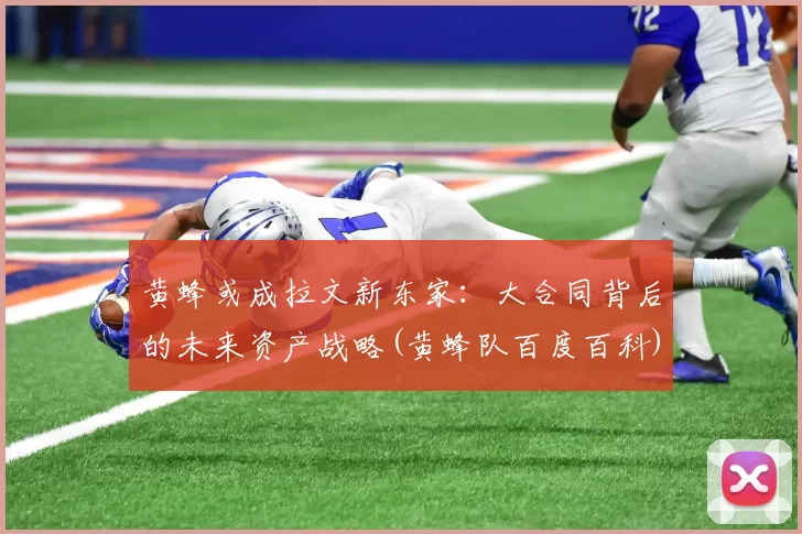 黄蜂或成拉文新东家：大合同背后的未来资产战略(黄蜂队百度百科)